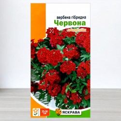 Насіння вербени гібридної Червона, 0,1г, ТМ Яскрава